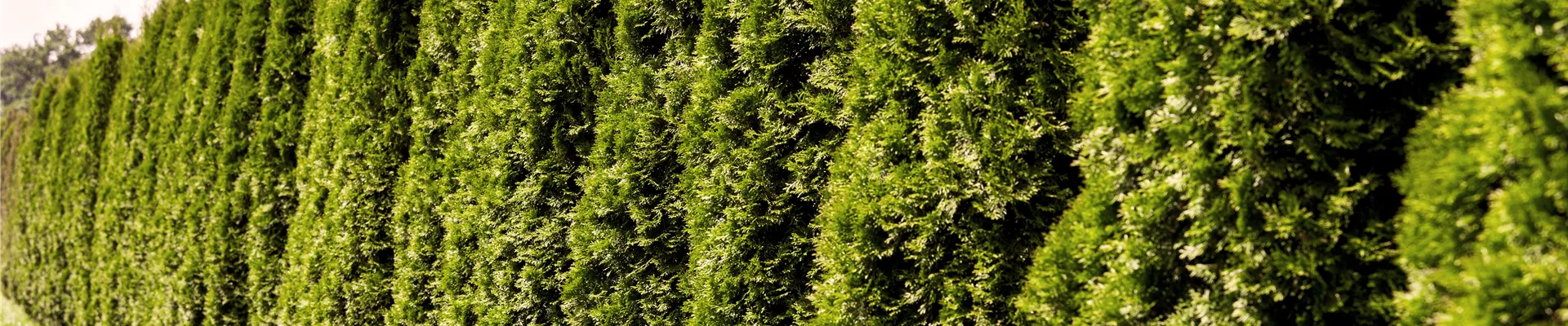 2019-11-11.11-19.GS636271_22